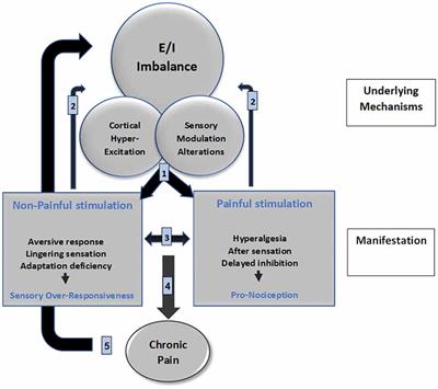 Frontiers | Sensory Modulation Disorder (SMD) And Pain: A New Perspective